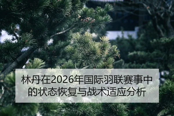 lin-dan-zai-nian-guo-ji-yu-lian-sai-shi-zhong-de-zhuang-tai-hui-fu-yu-zhan-shu-shi-ying-fen-xi-2-343.jpg